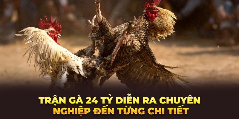 Diễn biến cuộc chiến khốc liệt trong trận gà 24 tỷ