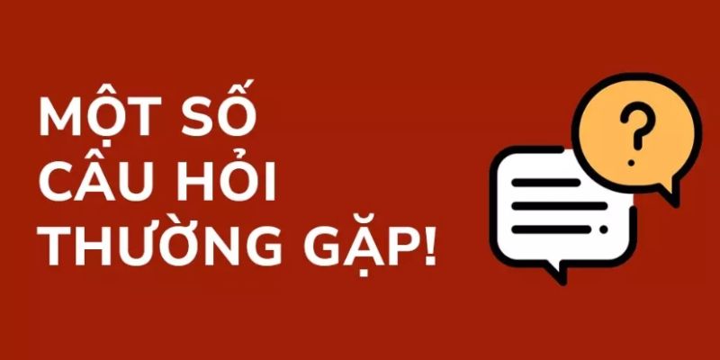 Câu hỏi thường gặp khi chơi game đã có đáp án